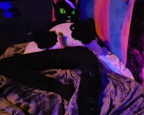 Argentum cumming paws free